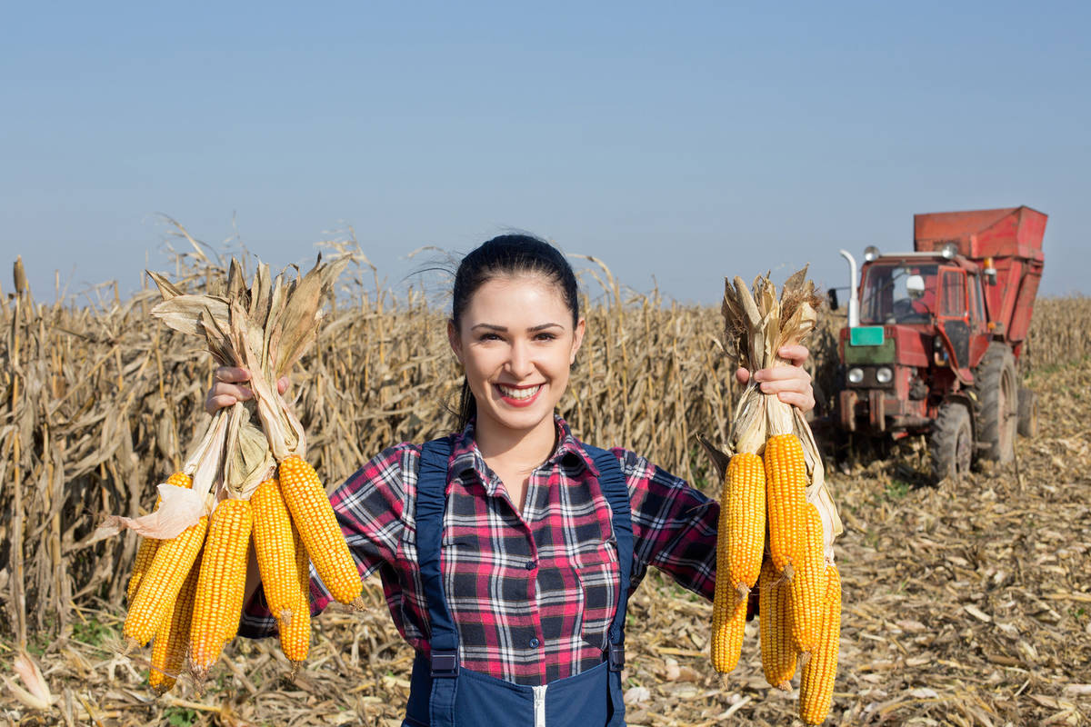 Crop Insurance